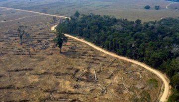 Brasile: Francia annuncia aiuti per 500 milioni di dollari per proteggere l'Amazzonia