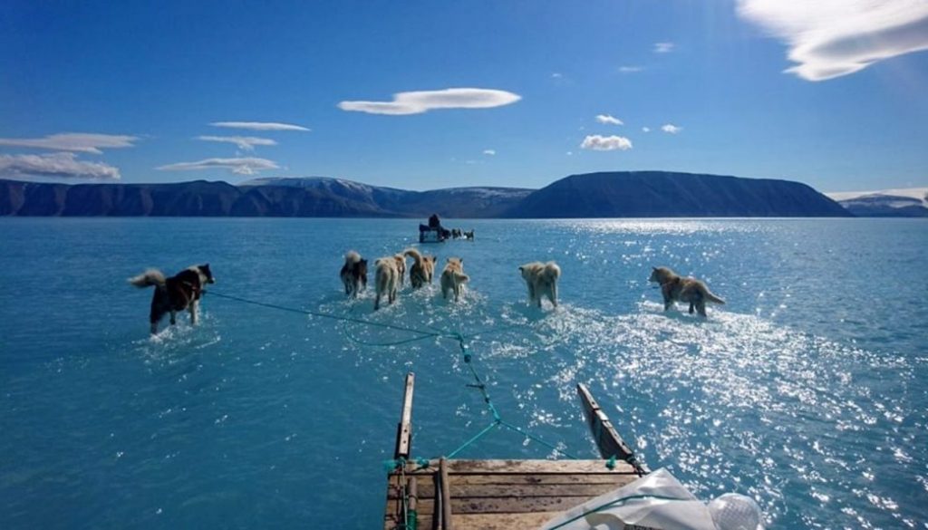 Scioglimento record Groenlandia, è "condanna a morte"