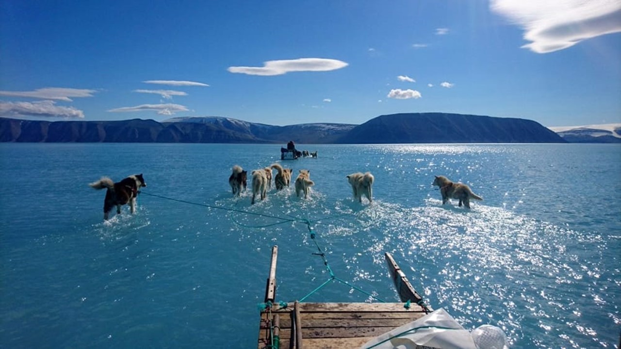 Scioglimento record Groenlandia, è "condanna a morte"