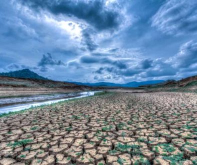 Il WWF Italia chiede alla Camera e al Senato di calendarizzare due sedute urgenti sul cambiamento climatico