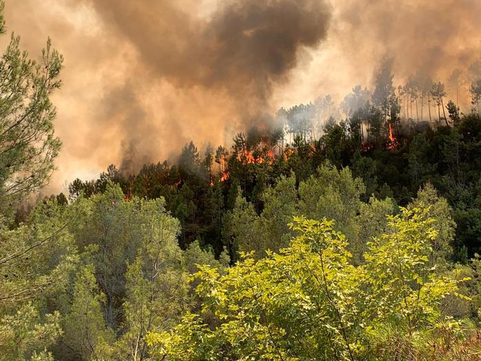 In Liguria da sabato 22 luglio scatterà lo stato di grave pericolosità per gli incendi boschivi su tutto il territorio regionale.