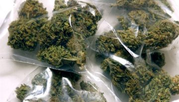 Cinque chili di marijuana nascosta tra vecchi mobili, due arresti La droga scoperta al casello di Pra' dalla polstrada